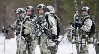 A year of living less dangerously? Finland’s first 12 months in NATO | NATO News