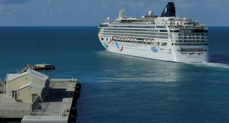 Americans stranded after island cruise excursion, left without money, meds: report