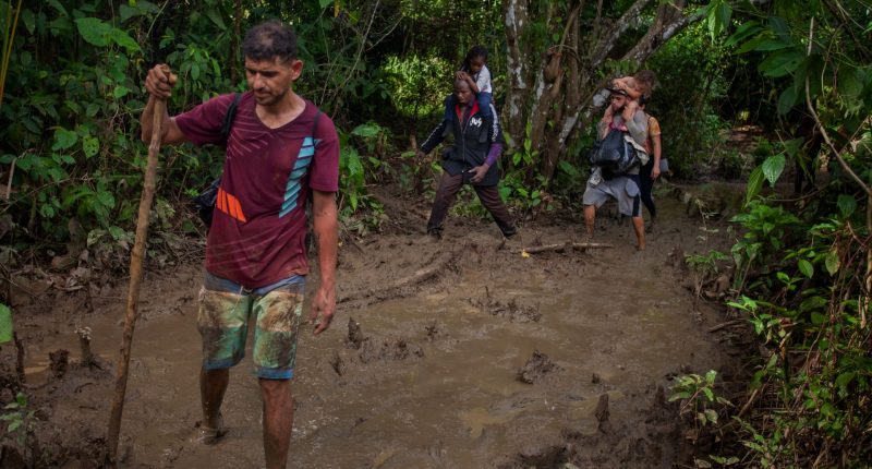 Colombia and Panama failing to protect migrants in Darien Gap: HRW | Migration News