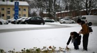 Deadly school shooting in Finland blamed on bullying | Gun Violence News