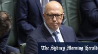 Dutton whacks ‘supine’ CEOs in pitch to working class