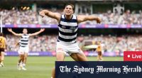 Hawthorn Hawks v Geelong Cats scores, results, fixtures, teams, tips, games, how to watch