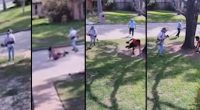 Lawn worker uses weed eater to knock alleged thief from getaway car on security video from Houston