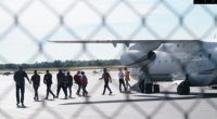 Migrants flown to Martha's vineyard by Florida Gov. Ron DeSantis can sue flight company