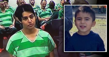 Mother accused of stabbing 4-year-old son 16 times