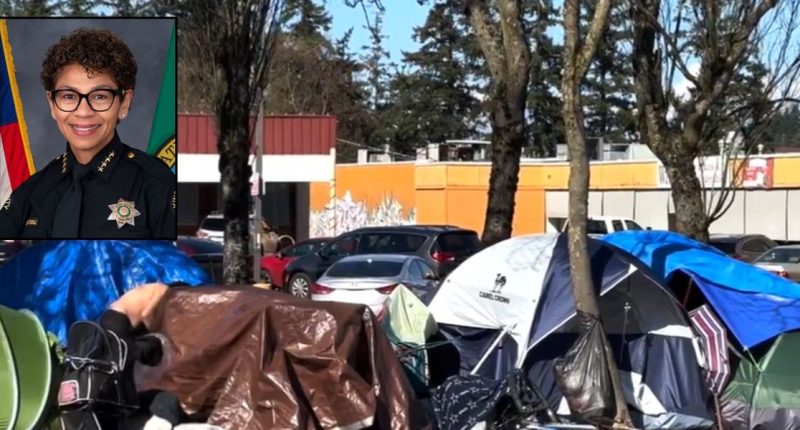 Sheriff in Washington state won't enforce city's ban on homeless encampments, prompting lawsuit: 'We passed a law'