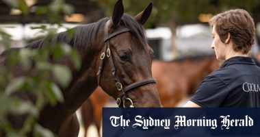 Winx foal sells for record $10 million at Inglis Australian Easter Yearling Sale