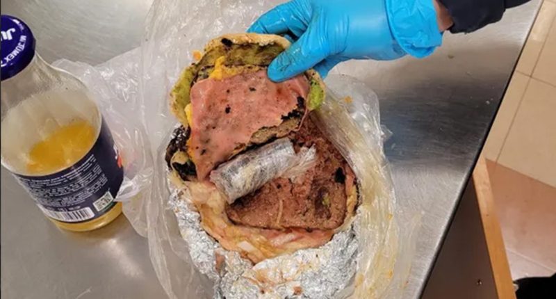 Woman attempts to smuggle fentanyl inside burger patties at U.S.-Mexico border