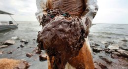 Workers sickened by 2010 oil spill left stranded with little or no compensation