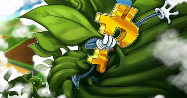 ‘Bitcoin will reach $1M, no doubt’ — Animoca founder at WebSummit Rio
