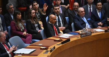 ‘Blatant aggression’: Reactions to US veto of Palestine’s UN membership bid | United Nations News