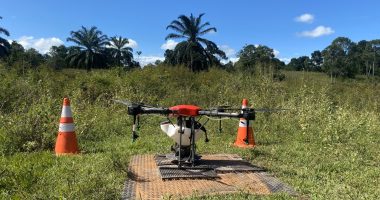 Are seed-sowing drones the answer to global deforestation? | Environment News