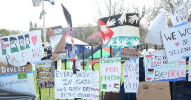 Cornell law professor criticizes Northwestern deal with anti-Israel protesters