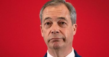Farage 'to help with the grassroots campaign' in US