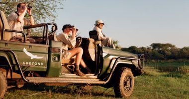 How to spot it – on safari with the world’s first smart binoculars