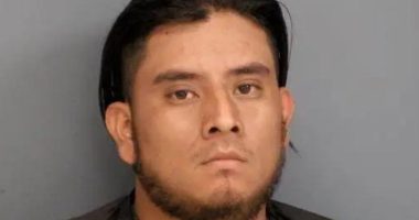 Illegal alien allegedly abducts, takes 'indecent liberties' with Louisiana girl: Report