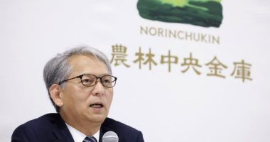 Japan’s Norinchukin plans capital raise after higher rates hit bond holdings
