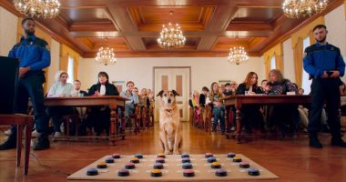 Kodi, Canine Star of 'Dog on Trial,' Wins Cannes Palm Dog Honor