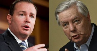 Lindsey Graham lectures Alito for flag, Mike Lee hits back in defense of Supreme Court justice: 'Every right to hang whatever flag'
