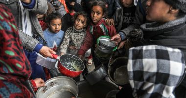 Northern Gaza in ‘full-blown famine’, UN food agency chief says | Israel War on Gaza News