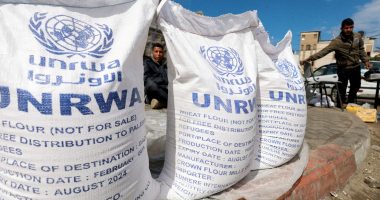 UNRWA says food distribution in Rafah suspended, citing insecurity | Israel War on Gaza News
