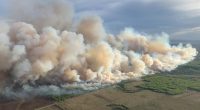 Wildfires spread across western Canada | Newsfeed