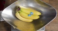 Banana giant must compensate victims of Colombian paramilitary: US court | Business and Economy News