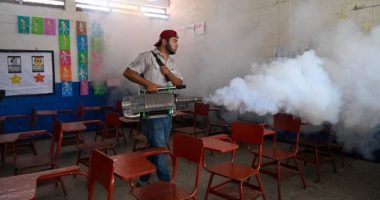 Brazil already exceeds worst-case forecast for dengue cases this year