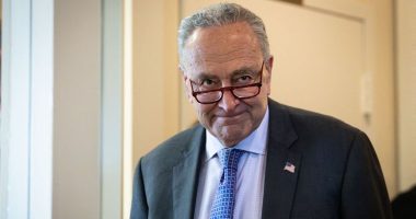 Chuck Schumer roasted over meltdown regarding burger blunder causing him to delete cheesy Father's Day post after being lit up
