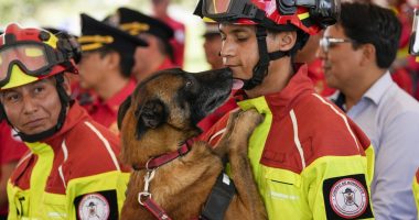Ecuador: Fire department honors five rescue dogs during retirement