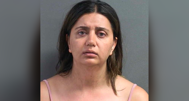 Florida mom allegedly attempts to drown 'possessed, devil toddler' for knocking over plant: report