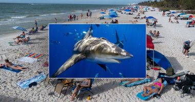 Florida panhandle beaches closed after two back-to-back shark attacks