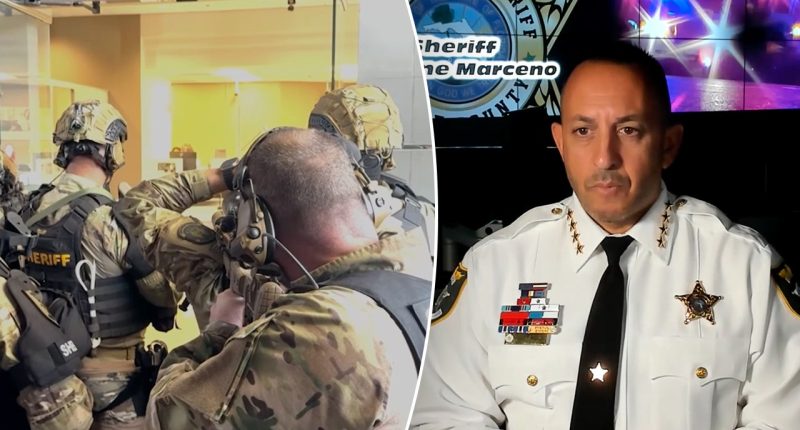 Florida sheriff hails ‘hero’ sniper who saved bank robbery hostages, slams blue state ‘failed policies'