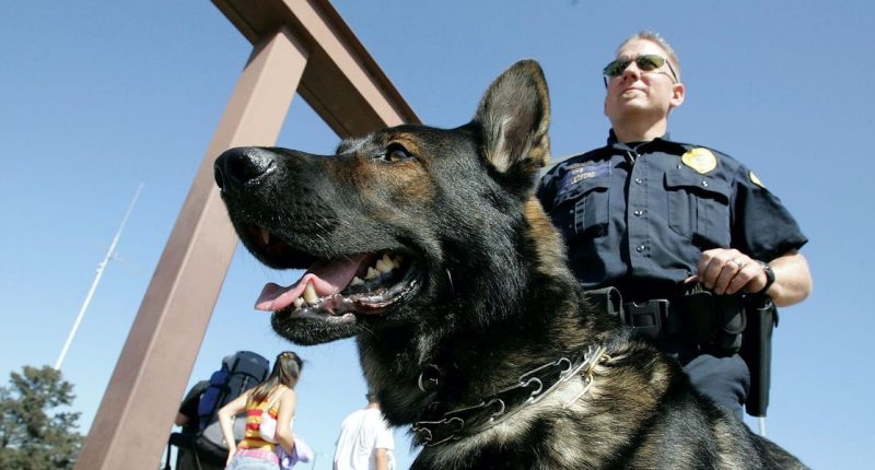 Former cop charged with misdemeanor animal cruelty for allegedly leaving K-9 police dog to die in his patrol car