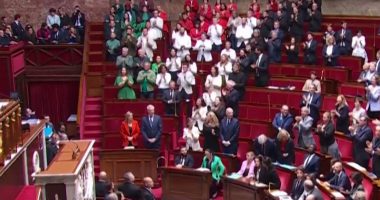 French MPs wear colours of Palestinian flag | Gaza