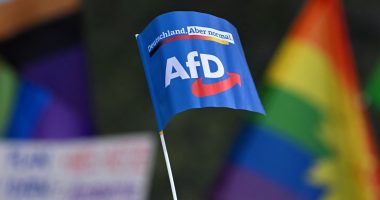 Germany and France’s far right make gains in EU elections | Elections News