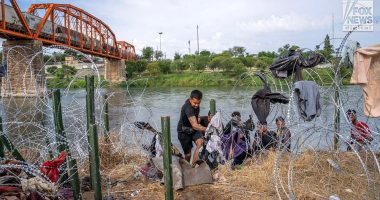 Illegal immigrants dies from fall after being released by border authorities