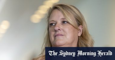 Independent Kylea Tink’s North Sydney seat to be abolished under draft plan
