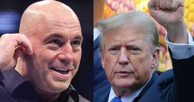 Joe Rogan says rappers are showing support for Trump after guilty verdict: 'They're exposing how corrupt the system is!'