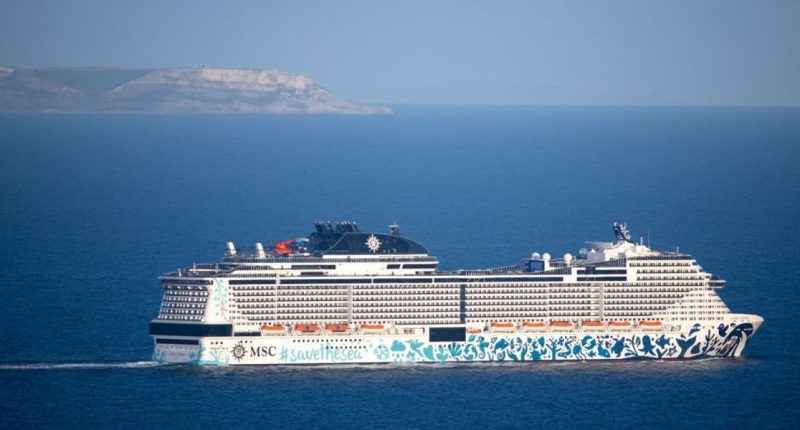 Man plummets to his death after falling off MSC Cruise ship in 'suspicious' incident