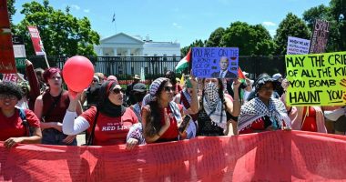 Pro-Palestine protest at White House with smoke bombs, demand Biden be arrested