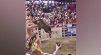 Shocking video captures moment bull leaps over fence at rodeo, injuring 4 spectators