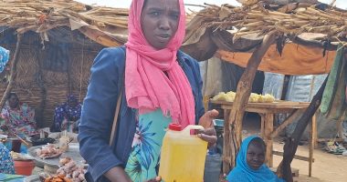Tensions bubble as Sudanese refugees feel resentment from Chadian hosts | Conflict