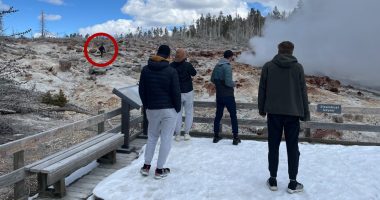Tourist sentenced to 7 days in jail over Yellowstone trespass
