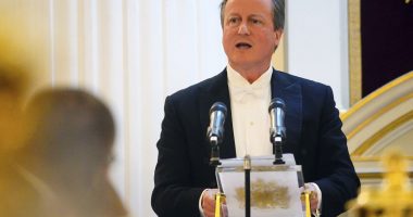 UK foreign secretary David Cameron says halting arms sales to Israel would strengthen Hamas