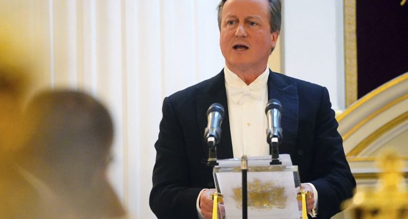 UK foreign secretary David Cameron says halting arms sales to Israel would strengthen Hamas