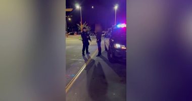 Video shows LA DA George Gascon's right-hand man arrested in DUI stop: 'You've pulled over the wrong person'