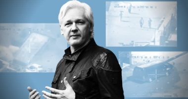 WikiLeaks gadfly: the Julian Assange saga