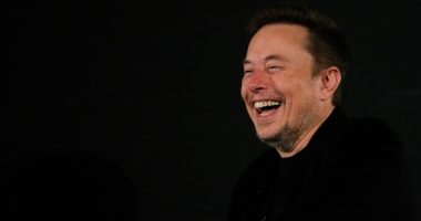 ‘I love you guys!’: Elon Musk lands $44.9bn pay deal after Tesla vote | Technology