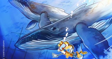 Bitcoin whales snapped up $4.3B of BTC amid price slump